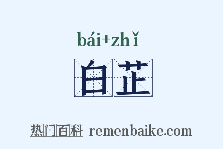 白芷是什么意思的图片